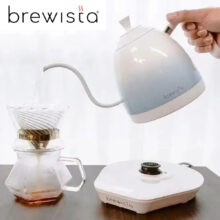 کتری برقی برویستا مدل Gooseneck Variable Temperature