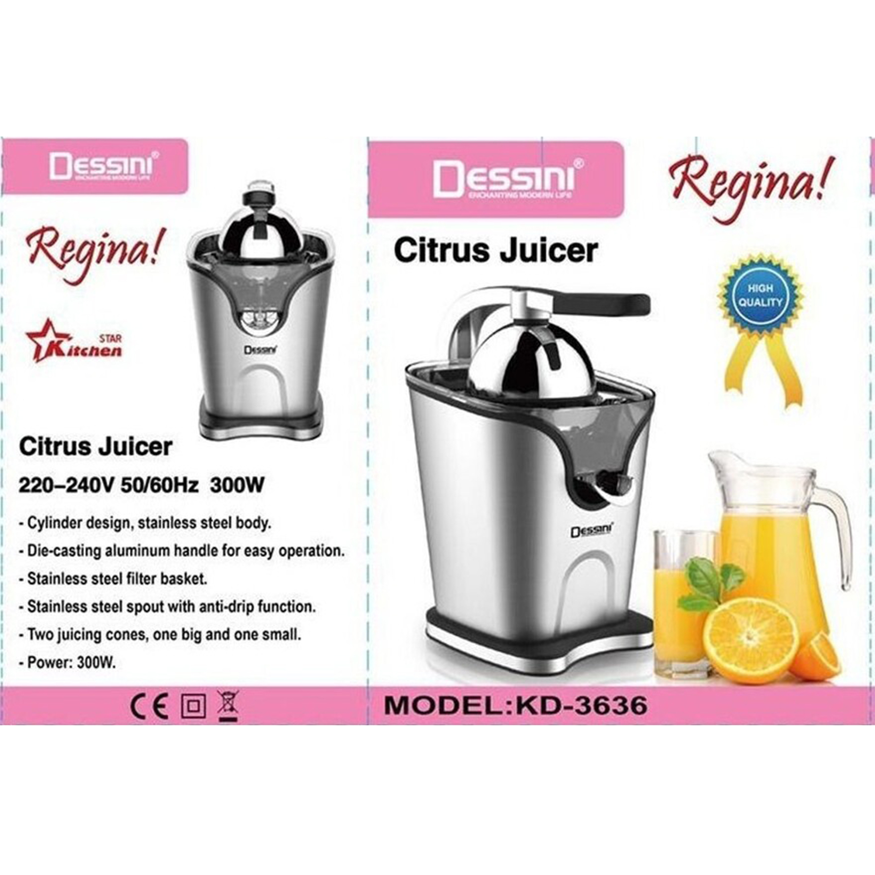 آب مرکبات گیر دسینی مدل Rginan KD-3636