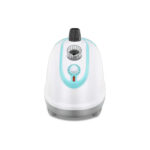 بخارگر راف مدل 3039