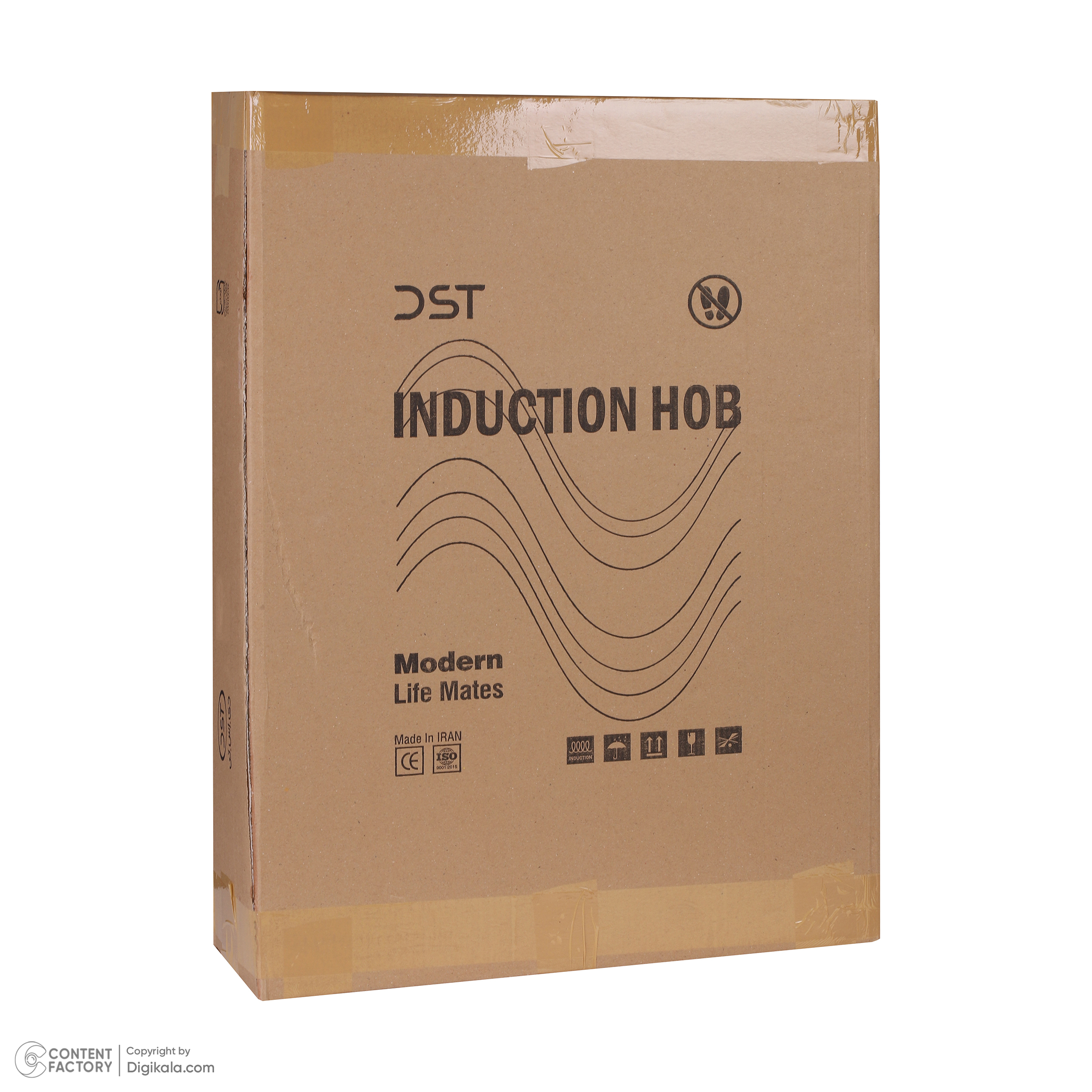 اجاق گاز برقی دو شعله دی اس تی مدل القایی I2H-01