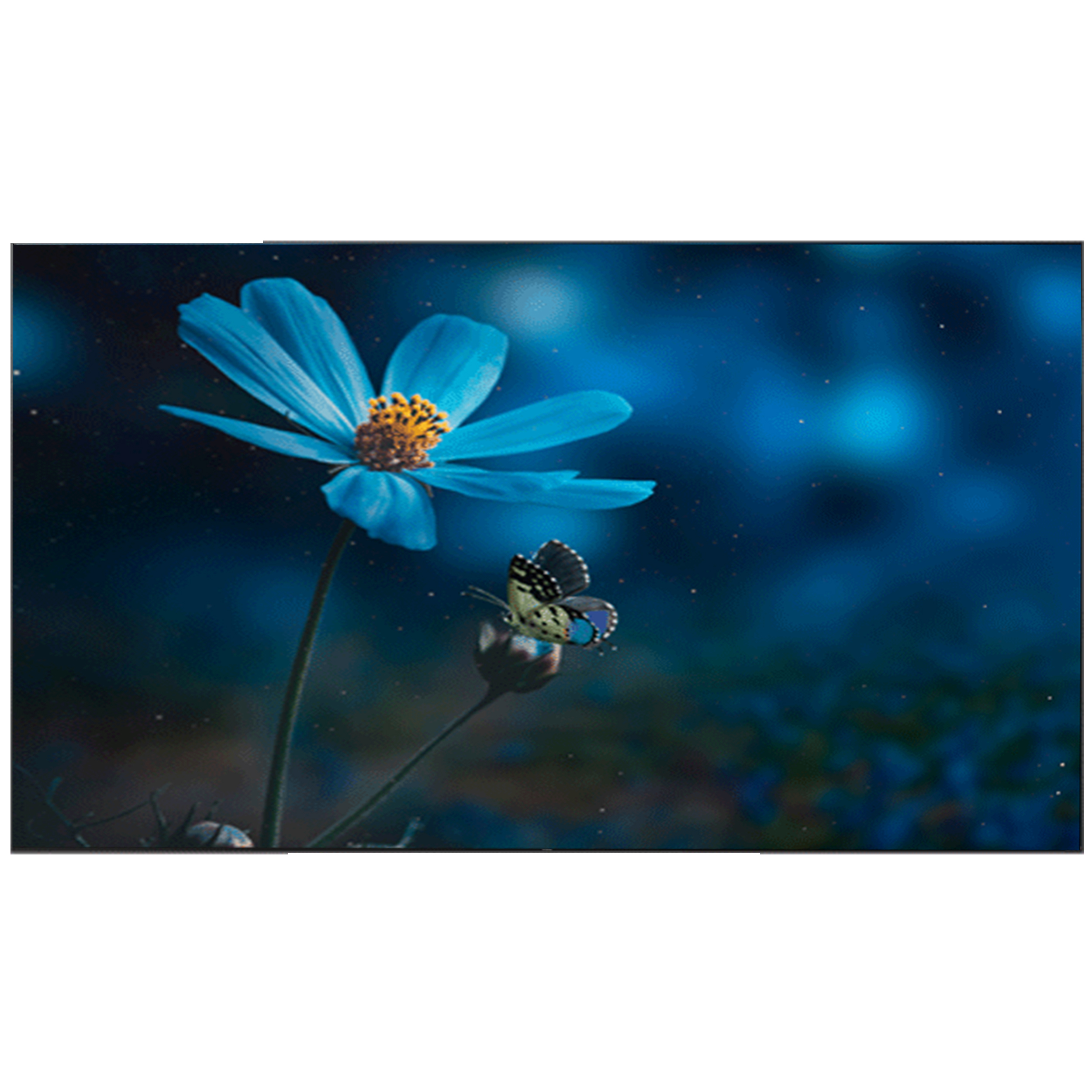 تلویزیون ال ای دی هوشمند تی سی ال مدل 85C755 سایز 85 اینچ