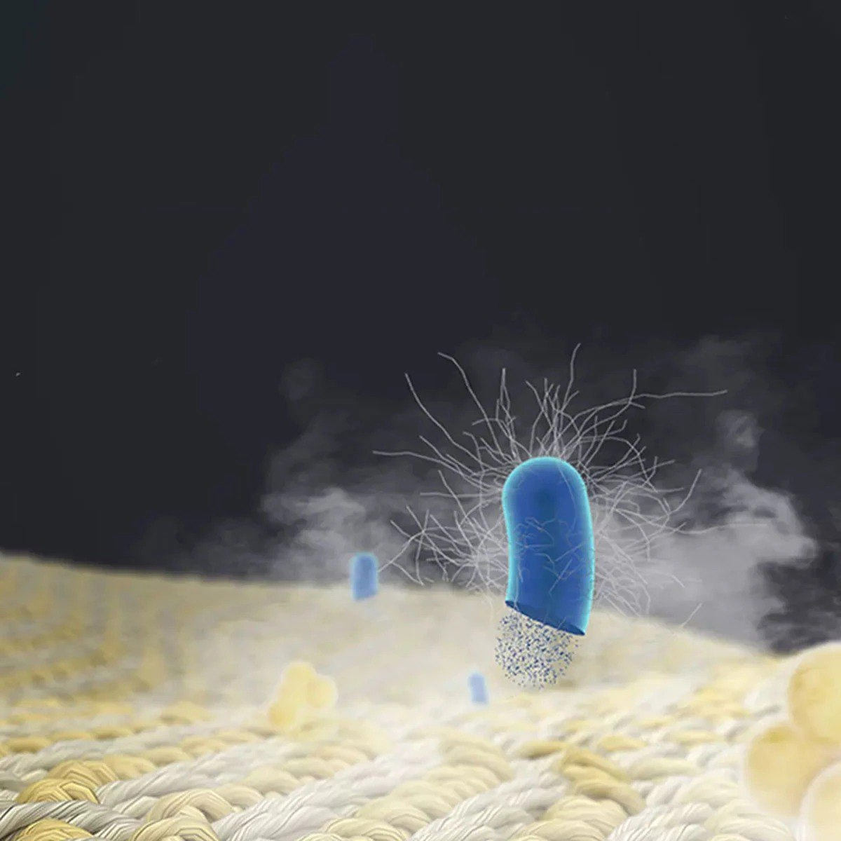 اتو بخار میجیا مدل ZYGTJ01KL