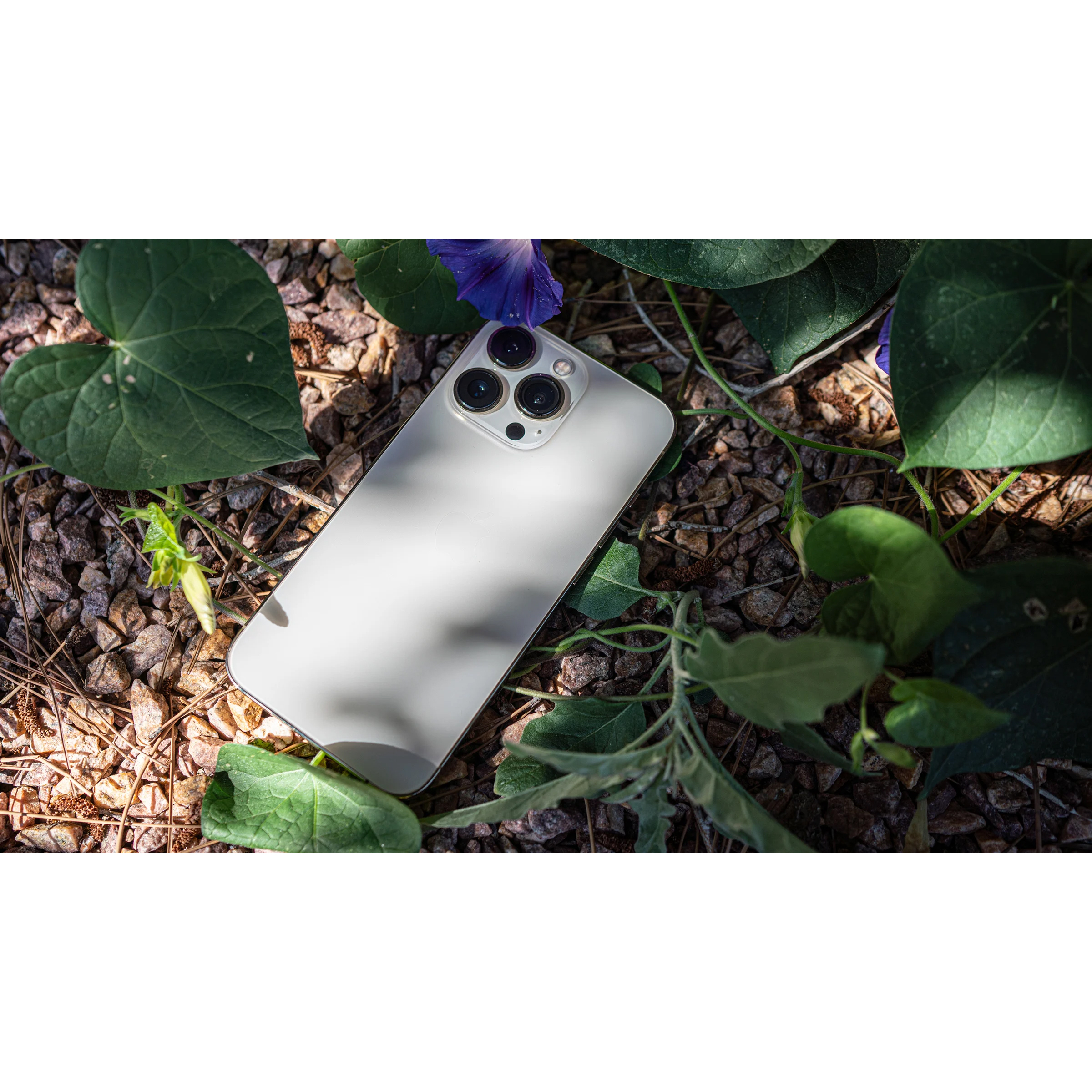 گوشی موبایل اپل مدل iPhone 13 Pro A2639 دو سیم‌ کارت ظرفیت 256 گیگابایت و 6 گیگابایت رم - اکتیو