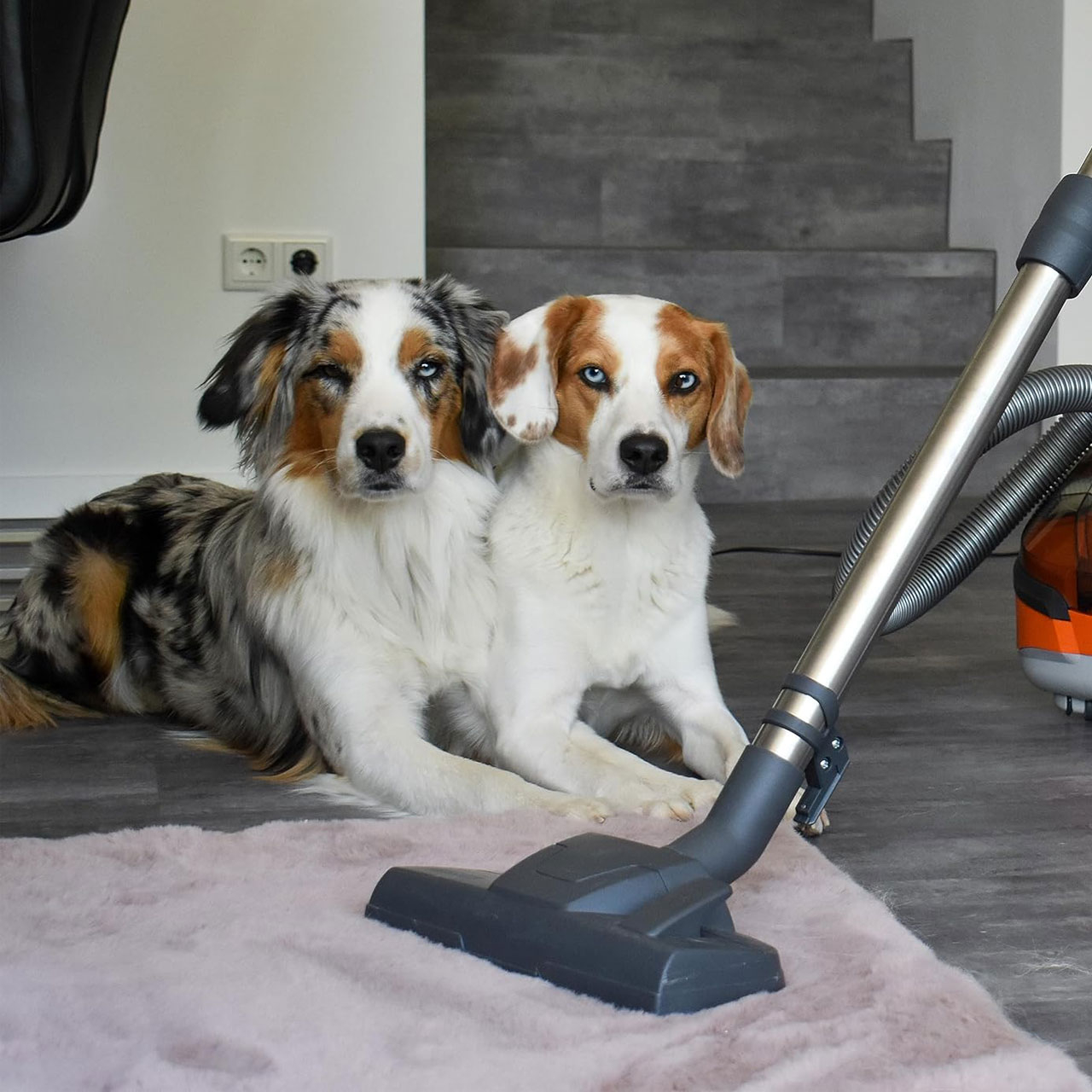 جاروبرقی مخزن‌دار 1700 وات توماس مدل 788569