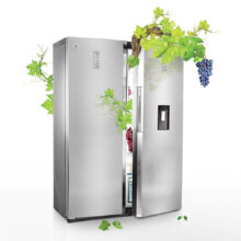 یخچال و فریزر دوقلو 40 فوت دوو مدل D4LR-0020MW/D4LF-0020MW