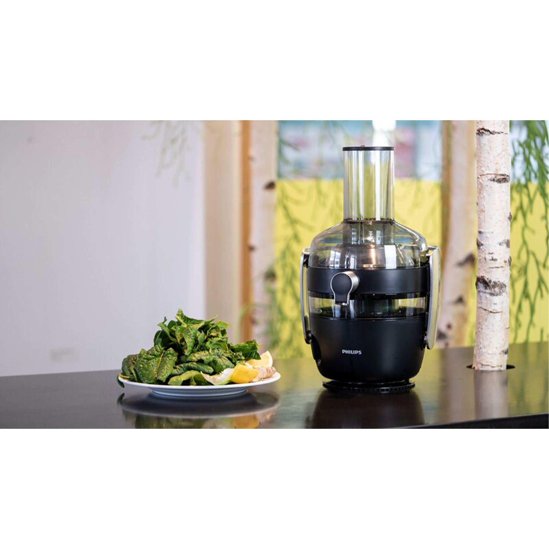 آبمیوه گیری فیلیپس مدل HR1916