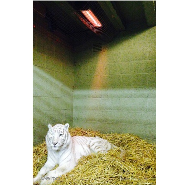 بخاری برقی دیواری ویتو مدل Aero