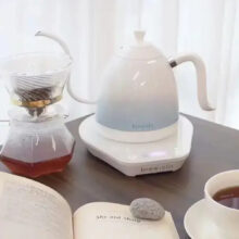 کتری برقی برویستا مدل Gooseneck Variable Temperature