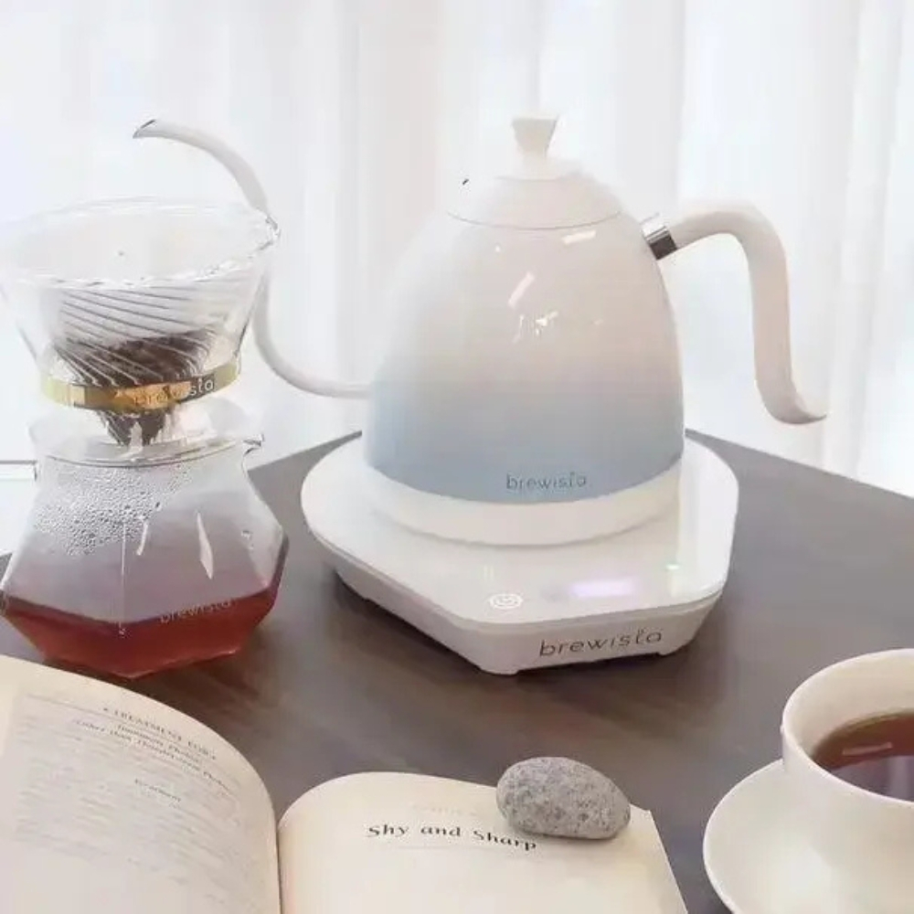 کتری برقی برویستا مدل Gooseneck Variable Temperature