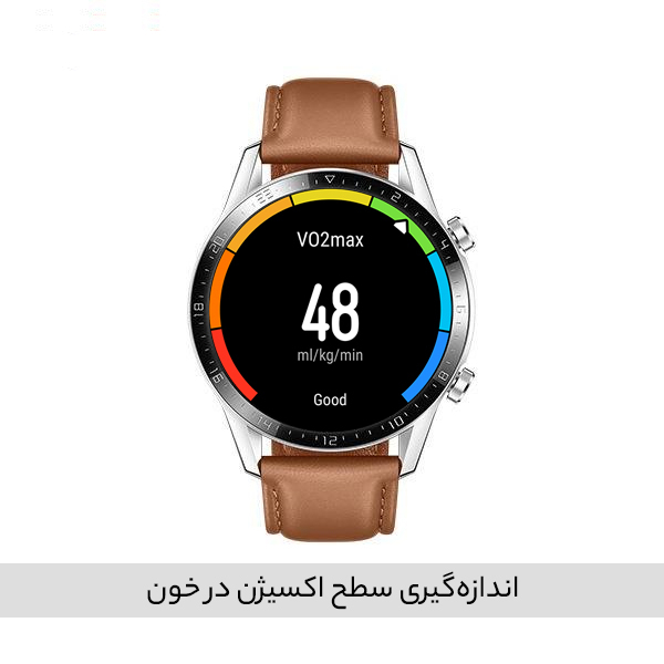 ساعت هوشمند هوآوی مدل WATCH GT 2 LTN-B19 46 mm بند چرمی