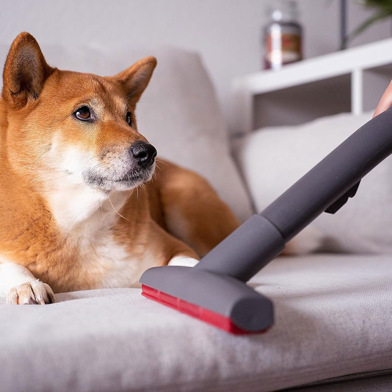 جاروبرقی مخزن‌دار 1700 وات توماس مدل 788569