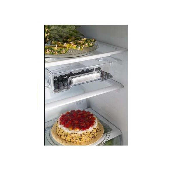 یخچال و فریزر 28 فوت دیپوینت مدل D4