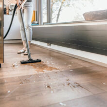 جاروبرقی سطلی کرشر مدل WD 2 PLUS