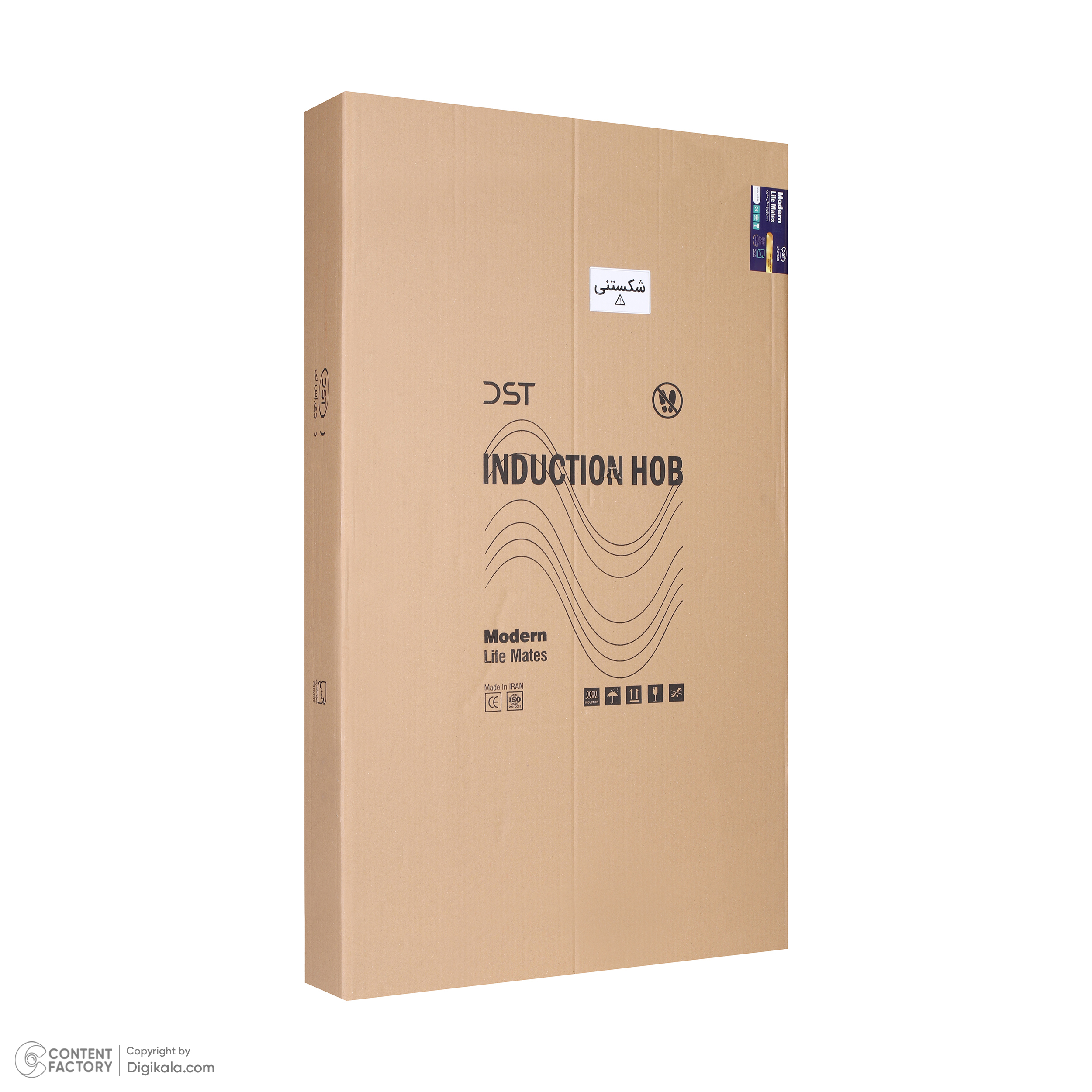 اجاق گاز برقی پنج شعله دی اس تی مدل هیبرید IT5-01