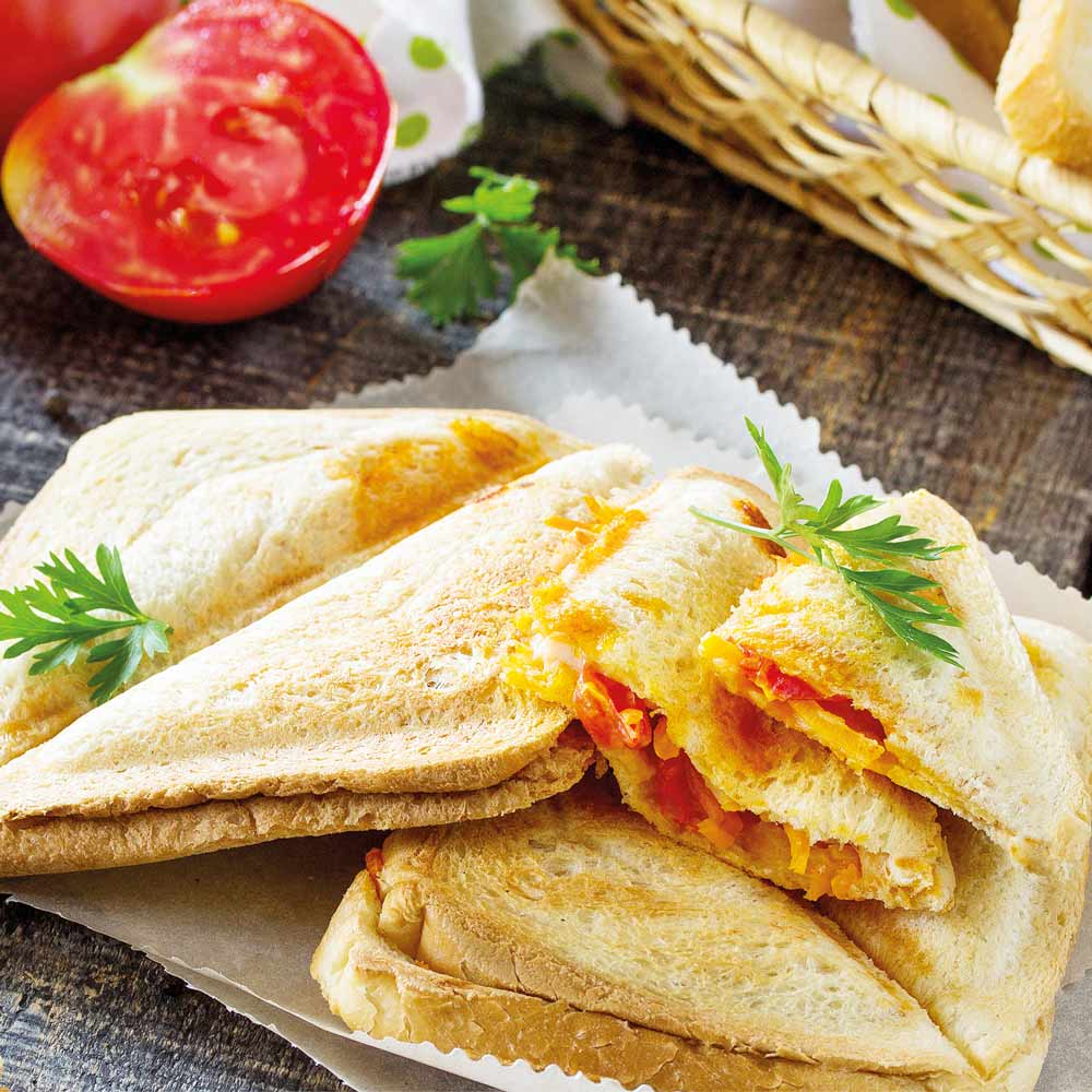 ساندویچ‌ساز دو خانه گاستروبک مدل 42443