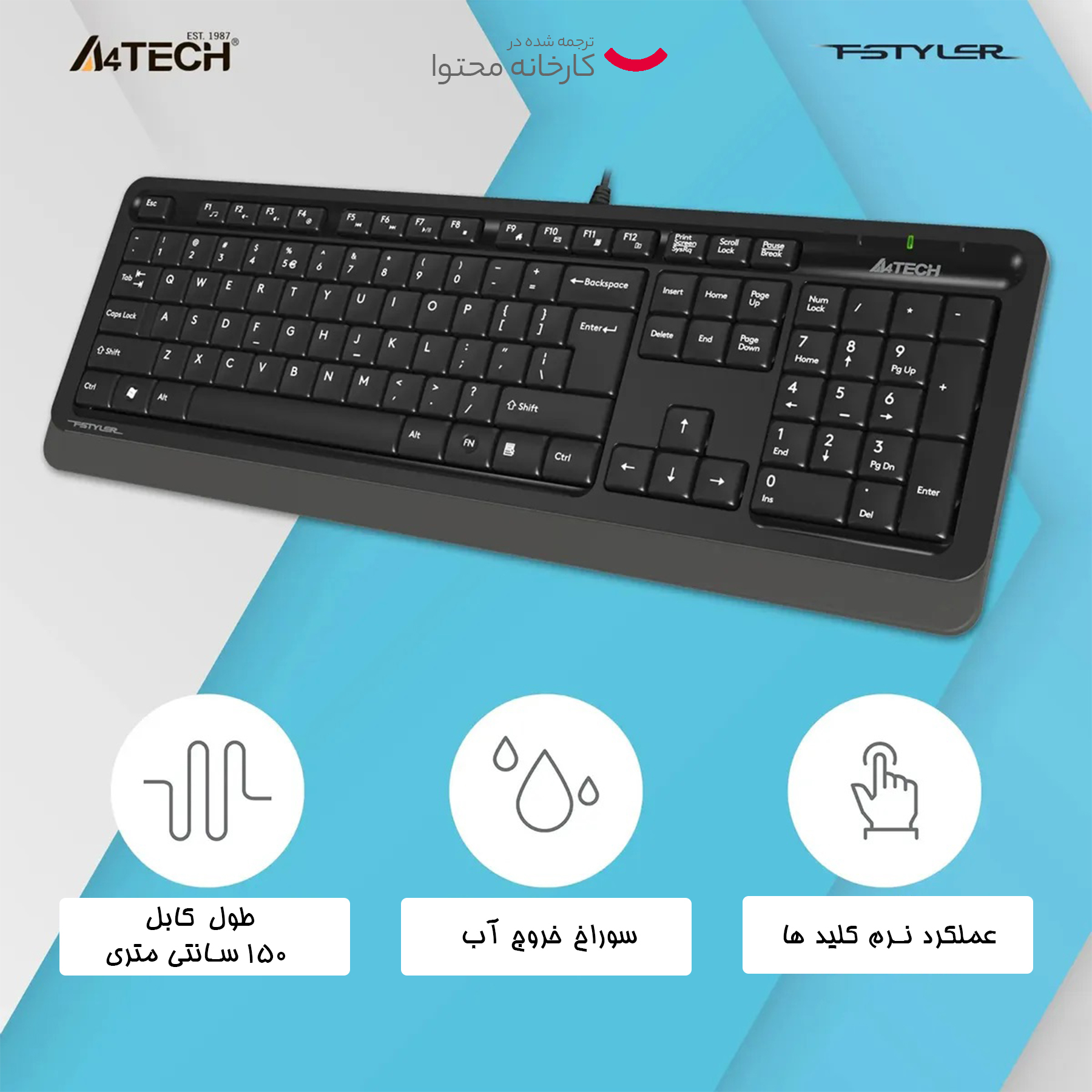 کیبورد ای فورتک مدل FSTYLER-FK10